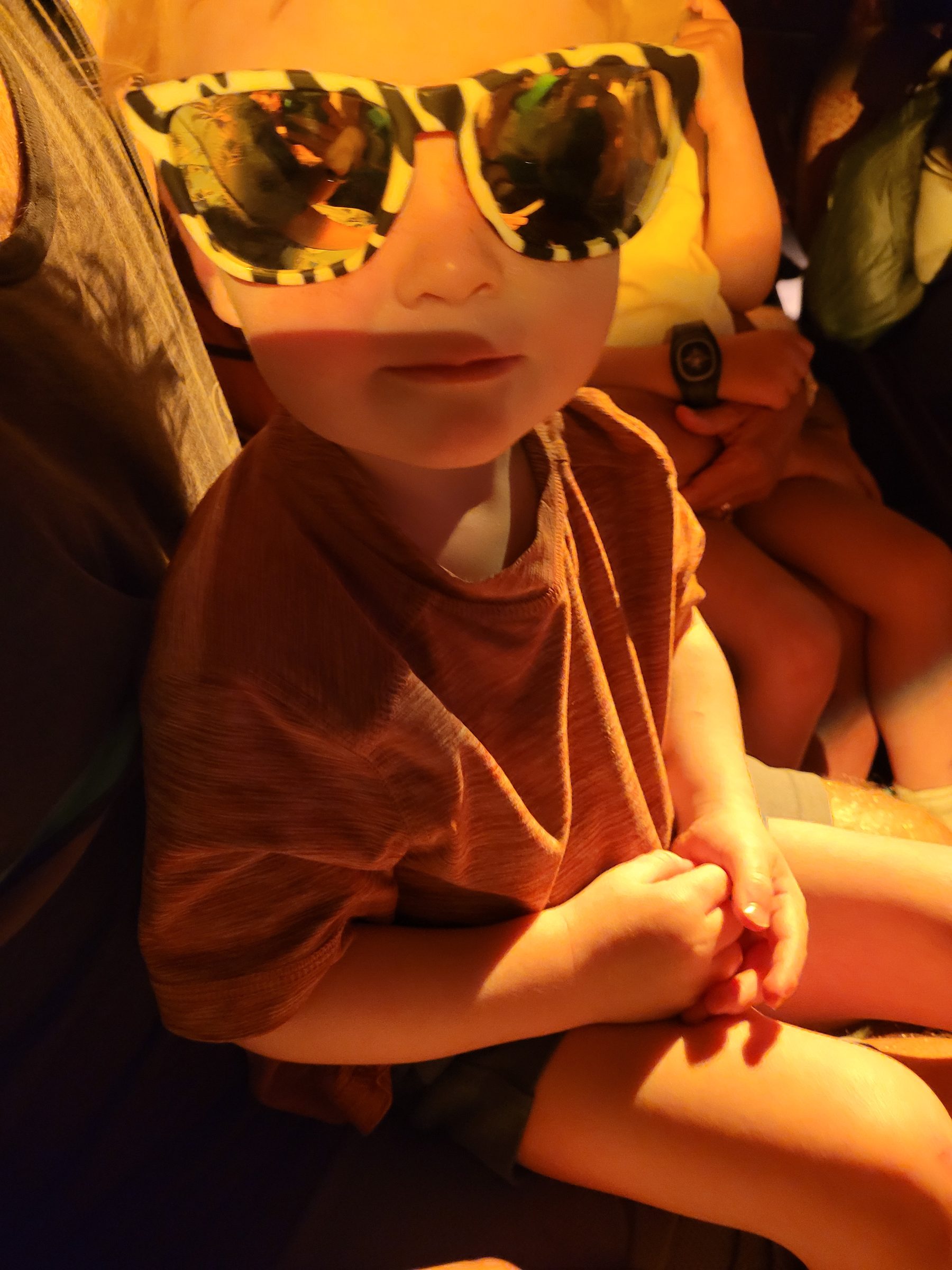 Raccoon wearing 3D glasses in his seat at the theater, show program in his lap