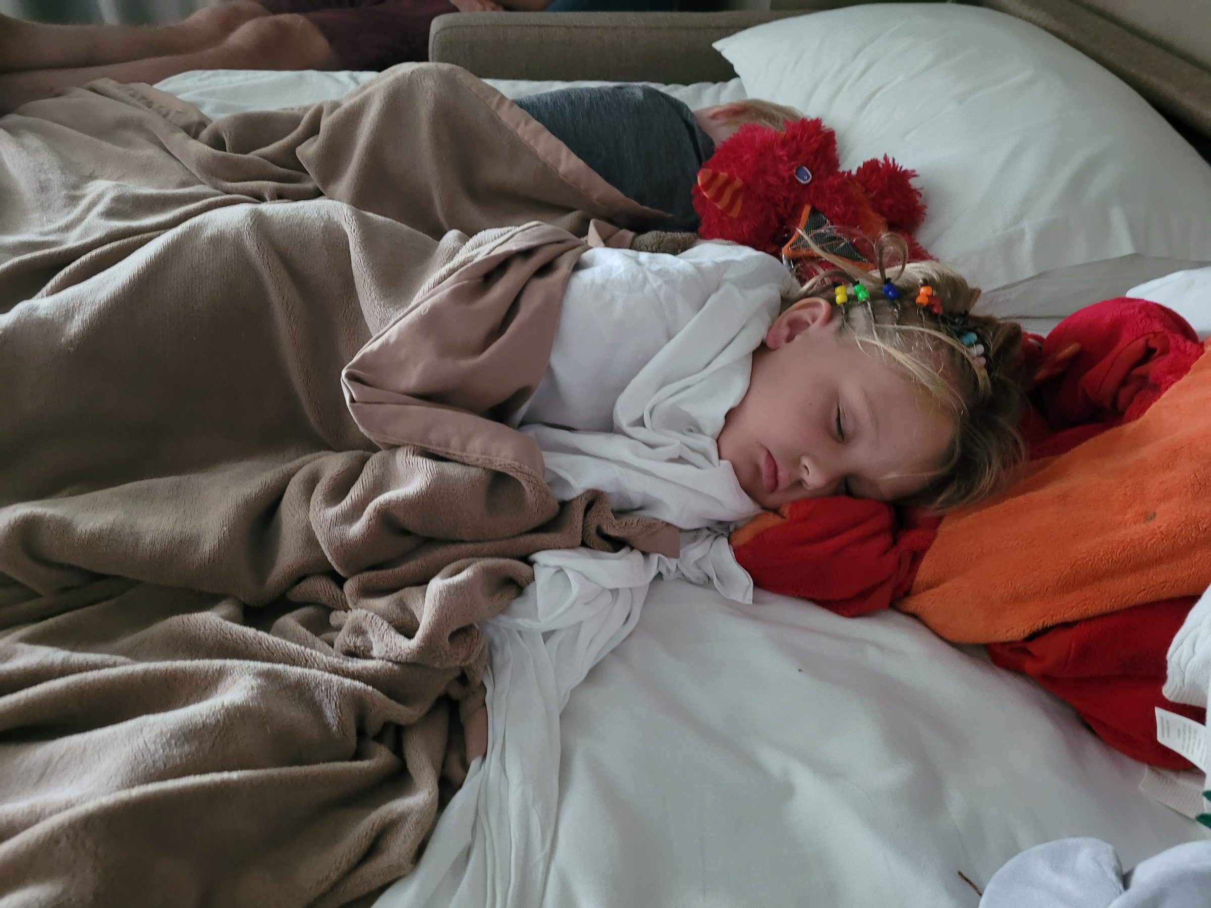 Rabbit asleep in the stateroom