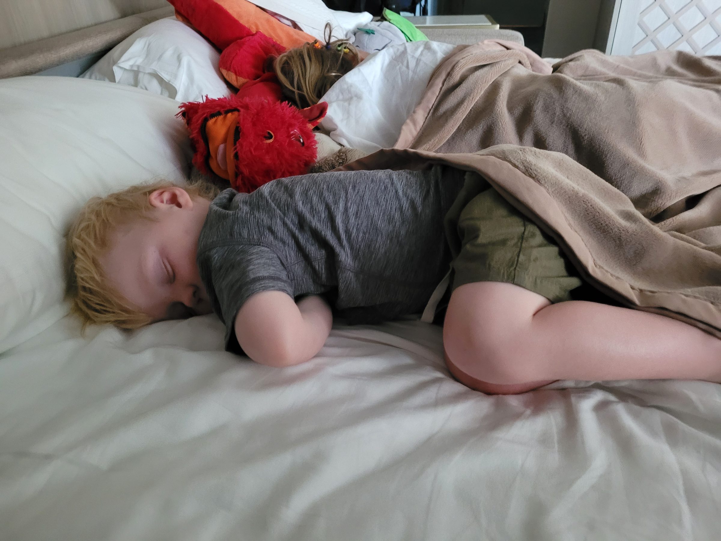 Raccoon asleep in the stateroom alcove with his stuffed dragon